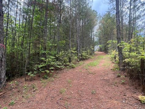 Lot 7 Skyline Drive Turtletown TN 37391