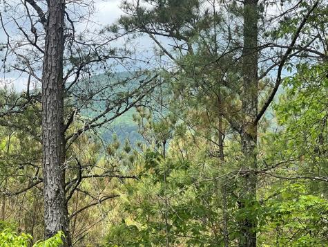 Lot 7 Skyline Drive Turtletown TN 37391