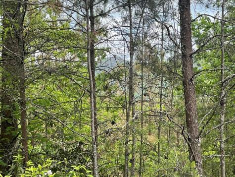Lot 7 Skyline Drive Turtletown TN 37391