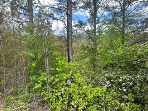 Lot 7 Skyline Drive Turtletown TN 37391