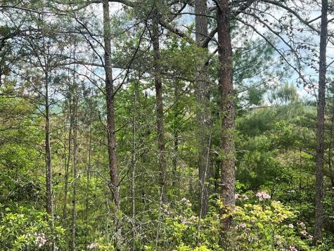 Lot 7 Skyline Drive Turtletown TN 37391
