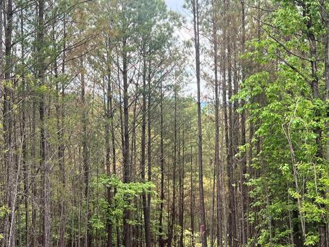 Lot 7 Skyline Drive Turtletown TN 37391
