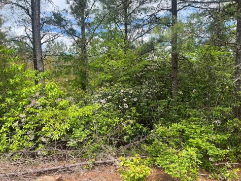 Lot 7 Skyline Drive Turtletown TN 37391