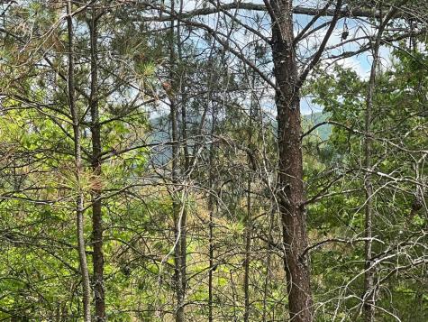 Lot 7 Skyline Drive Turtletown TN 37391
