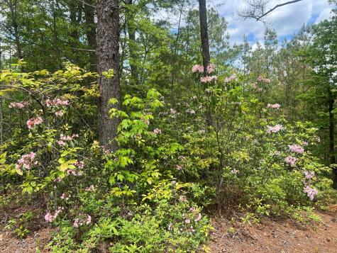 Lot 7 Skyline Drive Turtletown TN 37391