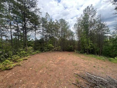 Lot 7 Skyline Drive Turtletown TN 37391