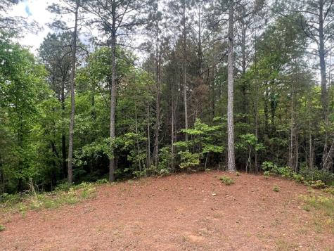 Lot 7 Skyline Drive Turtletown TN 37391