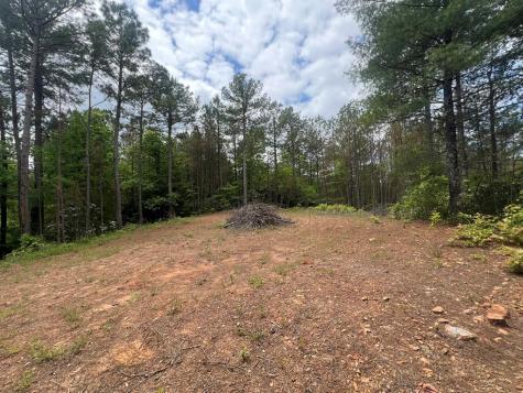 Lot 7 Skyline Drive Turtletown TN 37391