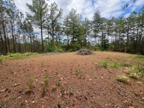 Lot 7 Skyline Drive Turtletown TN 37391