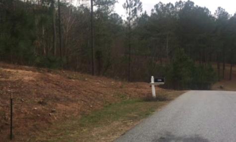 Lot 38 Loftis Mountain Blairsville GA 30512