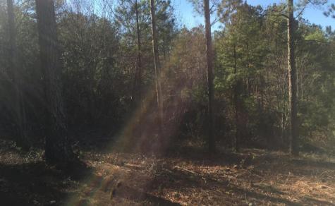 Lot 38 Loftis Mountain Blairsville GA 30512