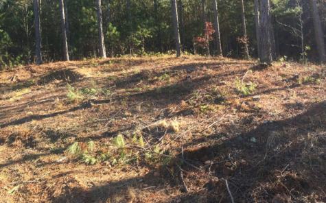 Lot 38 Loftis Mountain Blairsville GA 30512