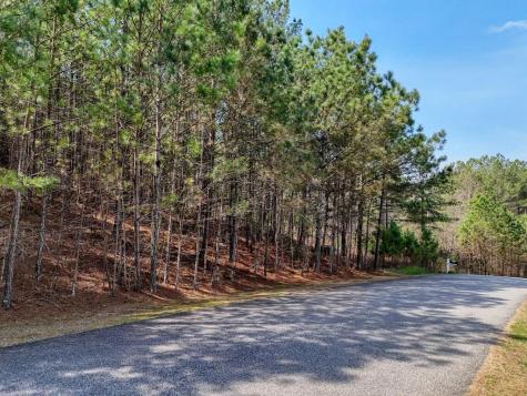 Lot 38 Loftis Mountain Blairsville GA 30512