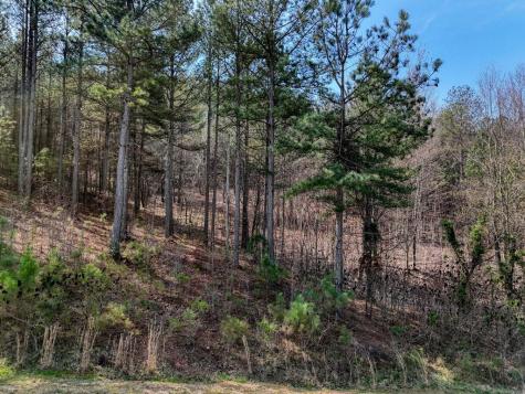 Lot 38 Loftis Mountain Blairsville GA 30512