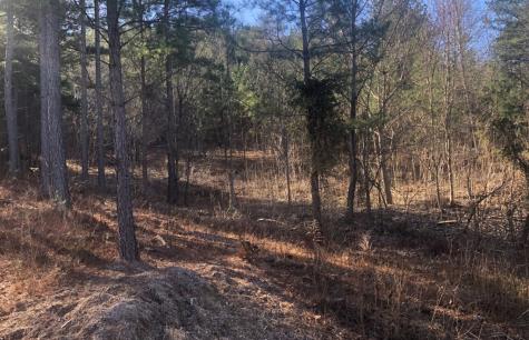 Lot 38 Loftis Mountain Blairsville GA 30512