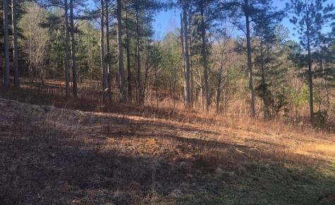 Lot 38 Loftis Mountain Blairsville GA 30512