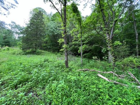 6387 Airport Road Andrews NC 28901