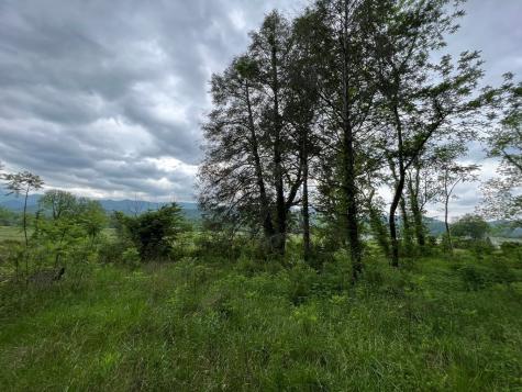 6387 Airport Road Andrews NC 28901