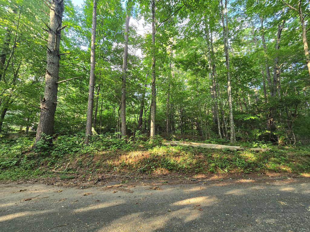 000 Colwell Church Road Epworth GA 30541