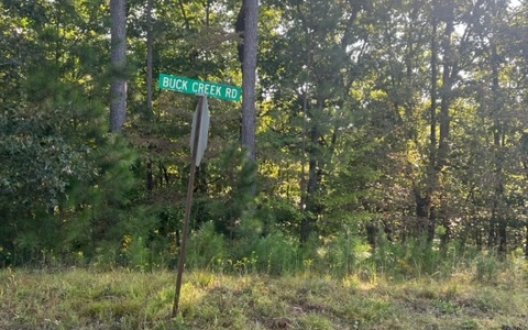 Lt 32 Buck Creek Road Ellijay GA 30540