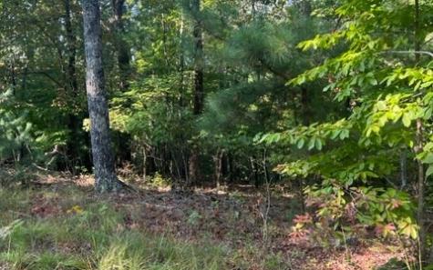 Lt 32 Buck Creek Road Ellijay GA 30540