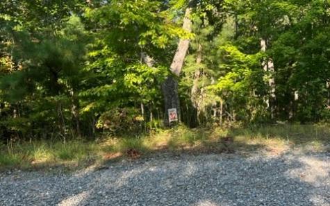 Lt 32 Buck Creek Road Ellijay GA 30540