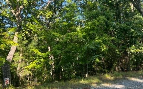 Lt 32 Buck Creek Road Ellijay GA 30540