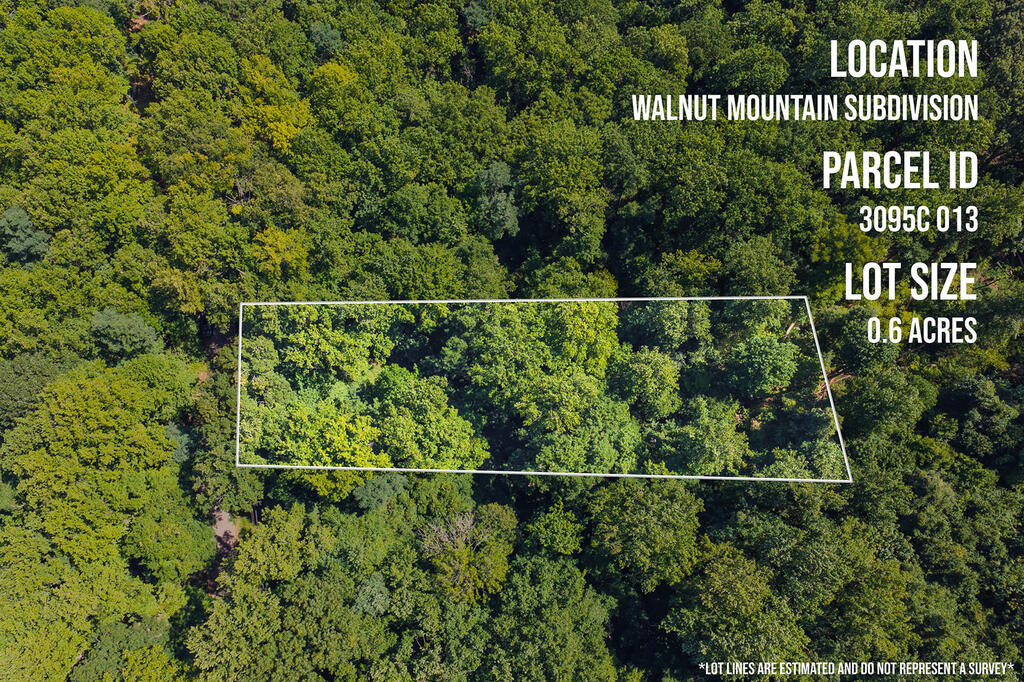 H-91 Mountain Oak Road Ellijay GA 30536