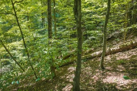 H-91 Mountain Oak Road Ellijay GA 30536