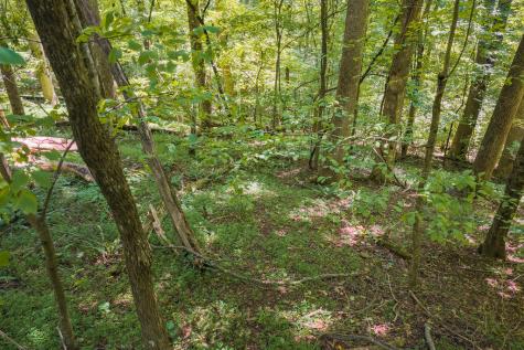H-91 Mountain Oak Road Ellijay GA 30536