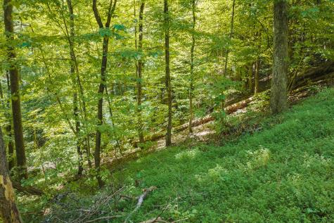 H-91 Mountain Oak Road Ellijay GA 30536