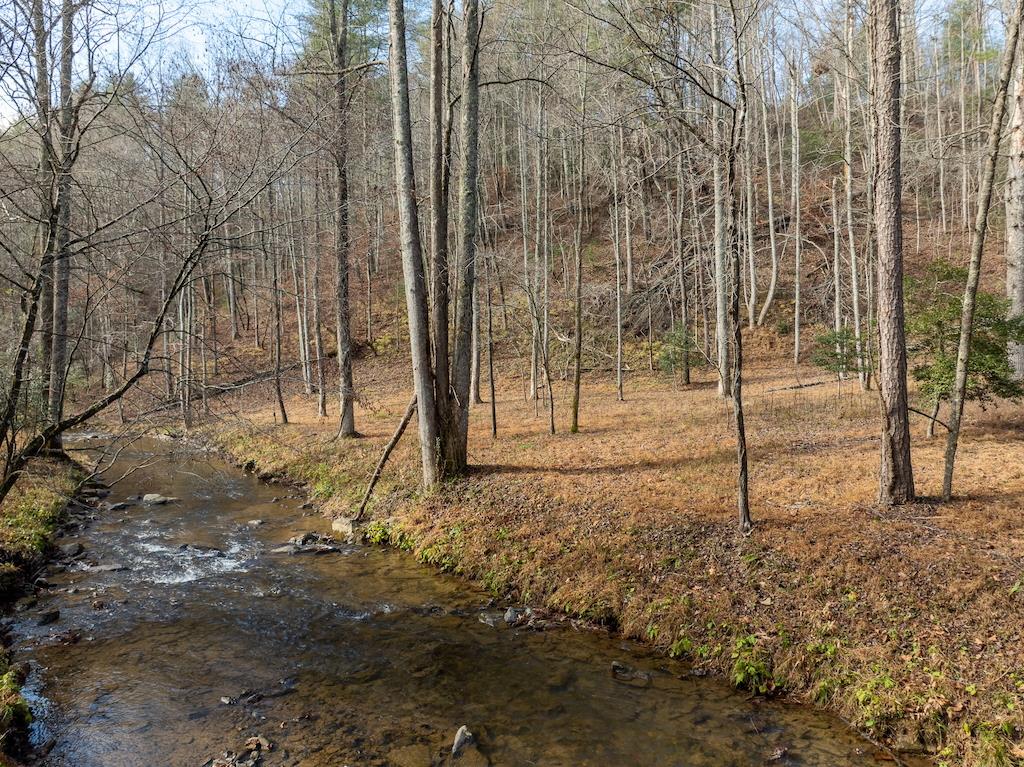 780 Banks Road Ellijay GA 30540