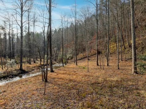 780 Banks Road Ellijay GA 30540