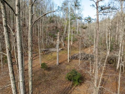 780 Banks Road Ellijay GA 30540