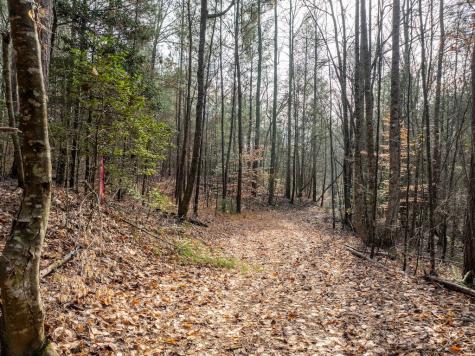 780 Banks Road Ellijay GA 30540