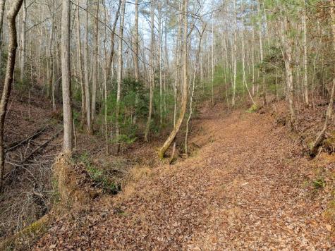 780 Banks Road Ellijay GA 30540