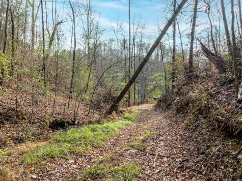 780 Banks Road Ellijay GA 30540