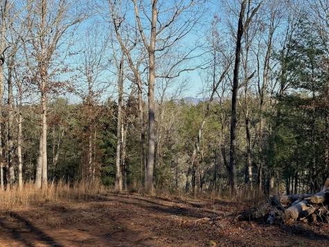 780 Banks Road Ellijay GA 30540