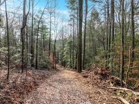 780 Banks Road Ellijay GA 30540