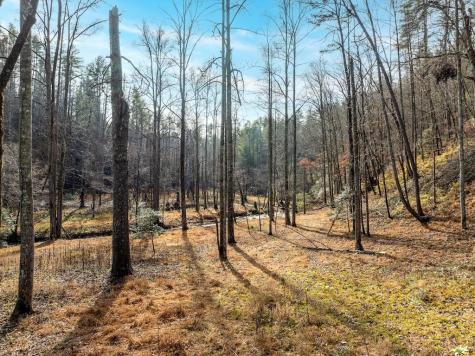 780 Banks Road Ellijay GA 30540