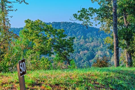 Lot 50 Jakes Landing Way Ellijay GA 30540