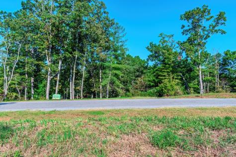 Lot 50 Jakes Landing Way Ellijay GA 30540