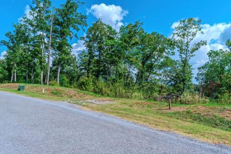 Lot 50 Jakes Landing Way Ellijay GA 30540