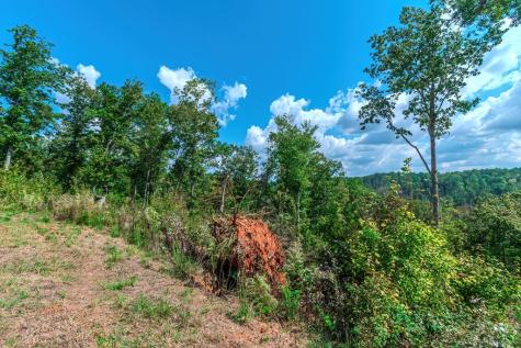 Lot 50 Jakes Landing Way Ellijay GA 30540