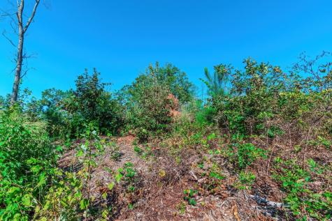 Lot 50 Jakes Landing Way Ellijay GA 30540