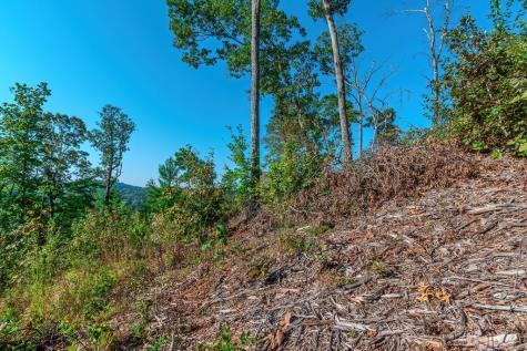 Lot 50 Jakes Landing Way Ellijay GA 30540