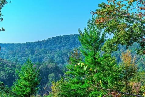 Lot 50 Jakes Landing Way Ellijay GA 30540