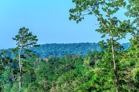 Lot 50 Jakes Landing Way Ellijay GA 30540