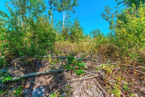 Lot 50 Jakes Landing Way Ellijay GA 30540