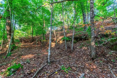 Lot 50 Jakes Landing Way Ellijay GA 30540